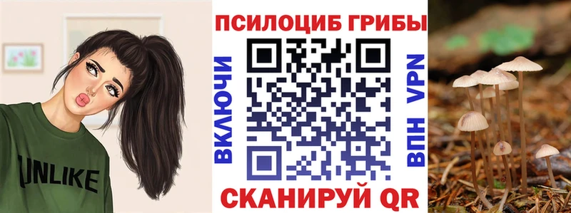Галлюциногенные грибы ЛСД  МЕГА рабочий сайт  Фрязино 